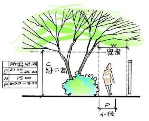 房屋几米不允许栽树？住宅安全距离有标准