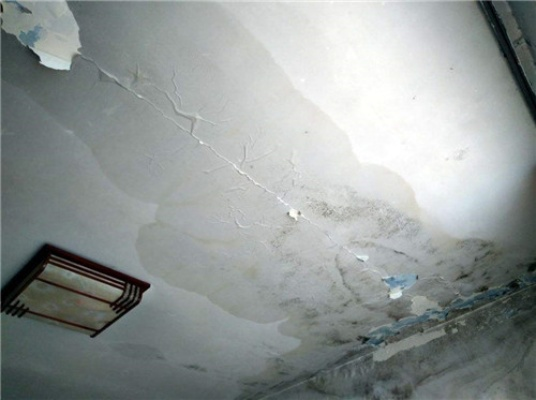  房屋漏水找什么机构鉴定？权威解答与选择指南