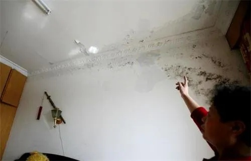 房屋漏水如何科学鉴定?成都专业机构详解全流程