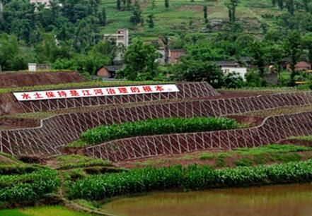 水土保持工程验收需要遵循哪些基本原则？科学性与全面性是核心