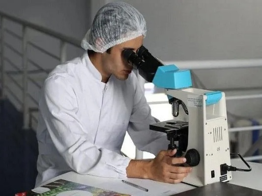 微生物检查是什么？建筑隐形杀手的科学侦察术