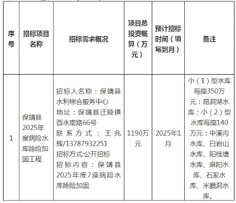 陶仪村水库2025年工程项目有哪些重点？除险加固与民生保障并重