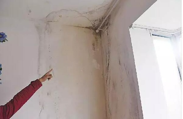 房屋漏水谁之过？专业鉴定机构如何锁定“元凶”