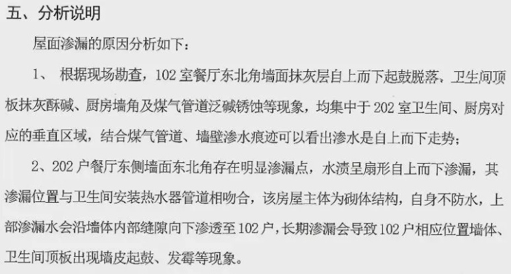  房屋漏水检测报告范本：问题解析与解决方案指南