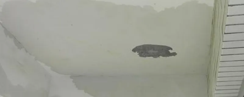  房屋漏水评估FAQ指南：如何准确判断渗漏风险与处置方案