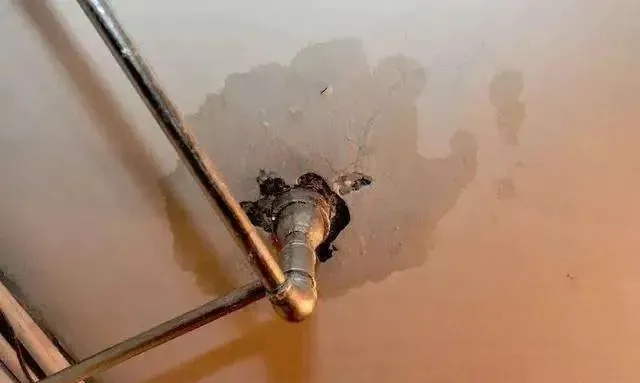 管道堵塞漏水致房屋被泡，责任谁来担？楼上邻居、物业还是开发商？