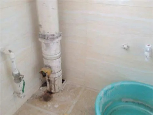 房屋主管道漏水属于谁的问题？主管道漏水责任认定全解析