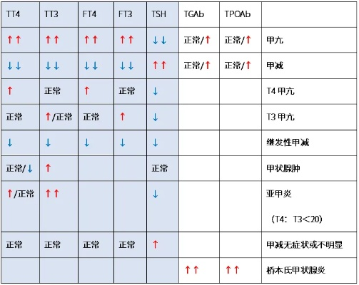 桥本甲状腺炎查什么?从诊断到管理的全面指南