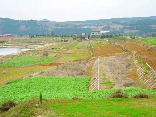 水土保持工程中水利措施有哪些？关键类型与功能解析