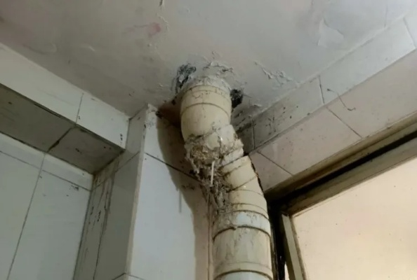  房屋下水管道漏水应该是谁负责？