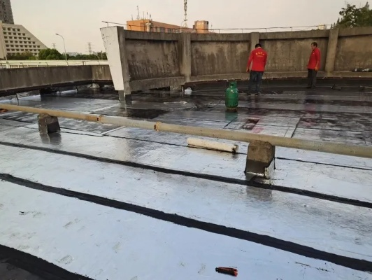 张家港市南丰镇楼顶侠防水工程队怎么样?专业防水修缮的行业标杆