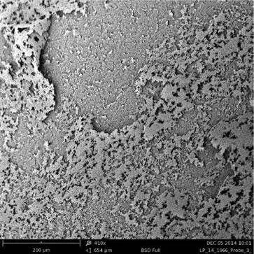 电镜检查怎么做?建筑检测专家详解操作要点