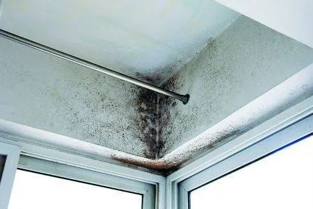  房屋为何会发霉？发霉对健康有何危害？——房屋发霉检测全方位解析