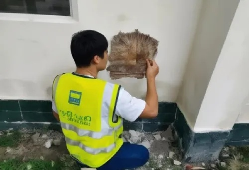  自建房房屋安全鉴定找哪个部门？这些权威机构要牢记