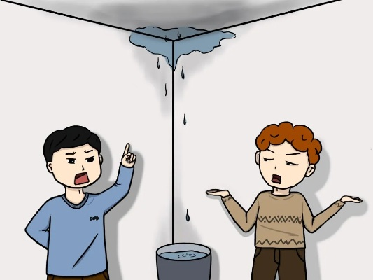 居民房屋漏水纠纷如何调解？全方位解决指南