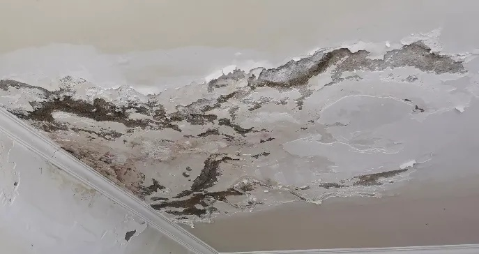  房屋漏水鉴定费用由谁承担？鉴定费用承担规则全解析