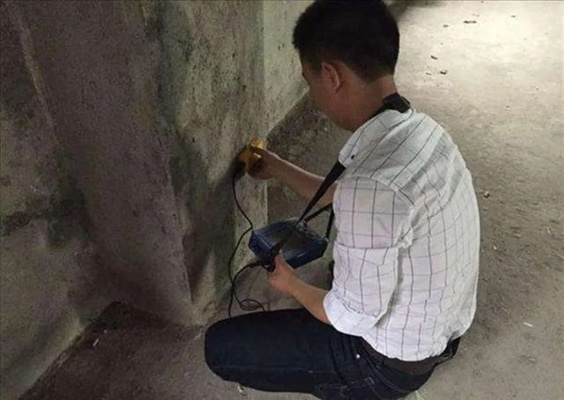 房子震动找什么部门检测?房屋震动检测责任部门与流程全解析