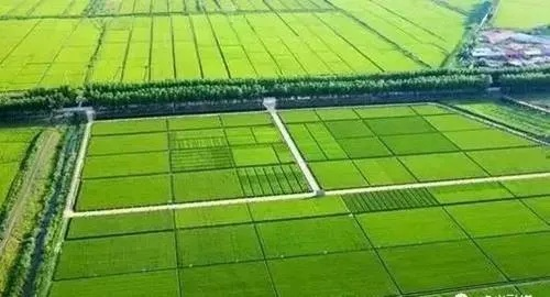 高标准农田改造属于什么工程？属于现代农业基础设施综合性工程