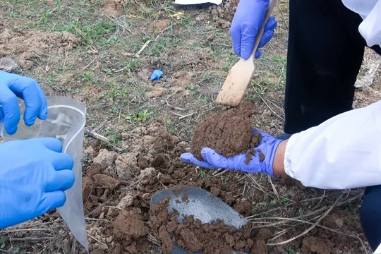 土壤检测项目有哪些？全面解析检测内容与方法