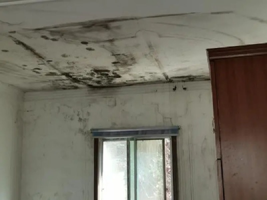 房屋被泡水损失如何鉴定？专业机构详解评估标准与维权要点